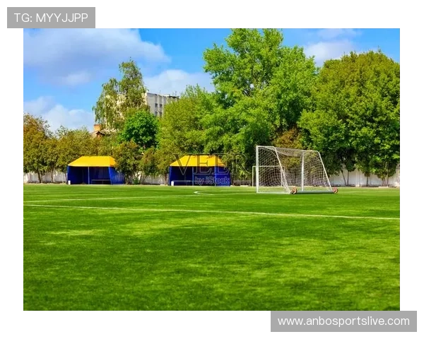 德甲缩写BOC代表哪个球队？背景介绍